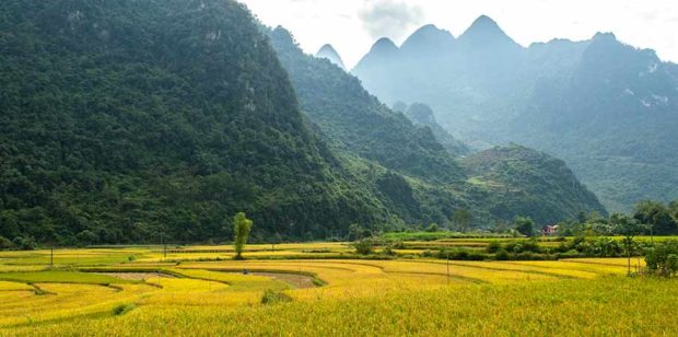 PAC BO Historical Site + Cave (Cao Bang) ️ | 2024