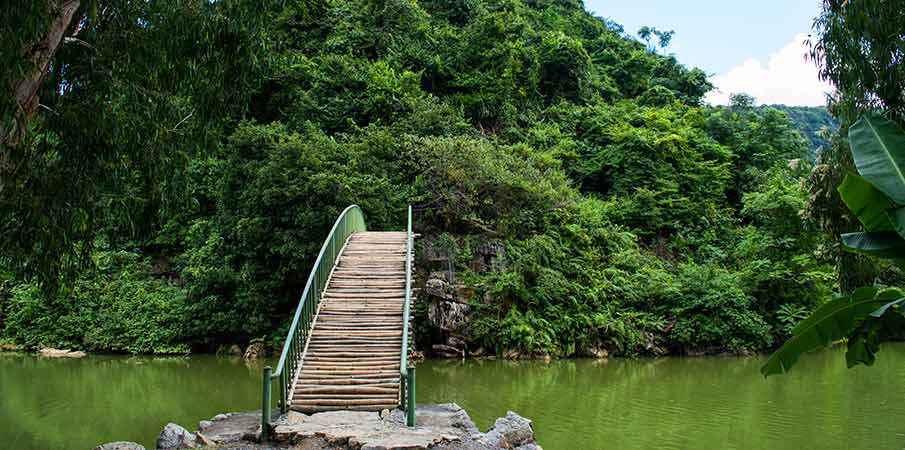 thung-nham-bird-park-bridge-ninh-binh