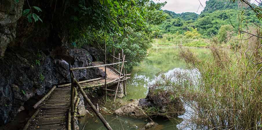 thung-nham-bird-park-road-vietnam