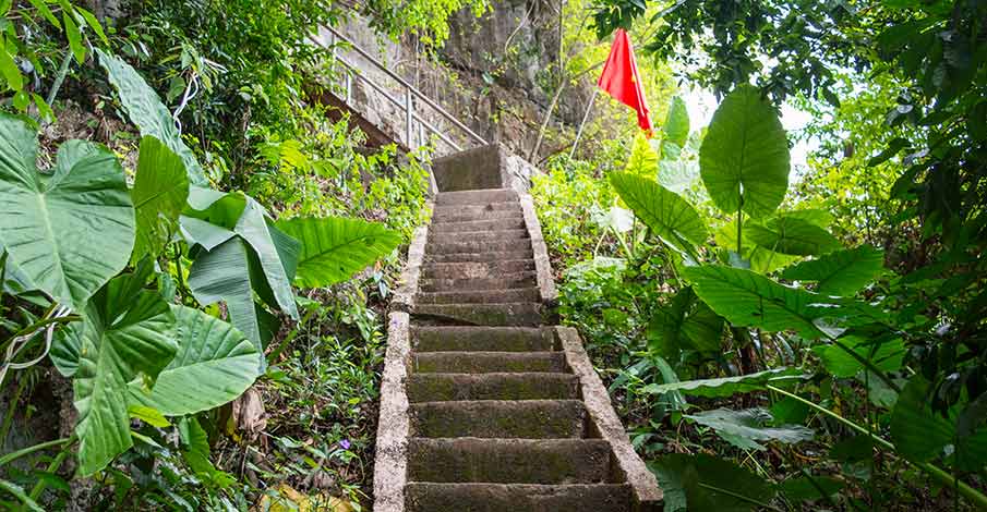 stairs-hospital-cave-cat-ba-island