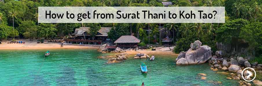 ferry-surat-thani-to-koh-tao-thailand