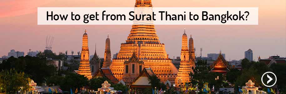 train-transport-surat-thani-to-bangkok