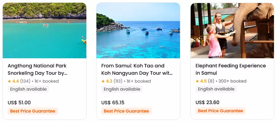 tour-trip-activity-koh-samui