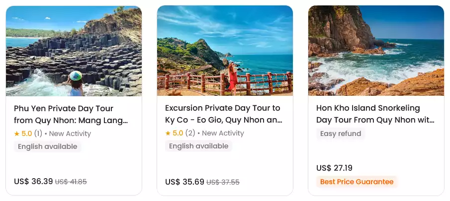 book-tour-quy-nhon