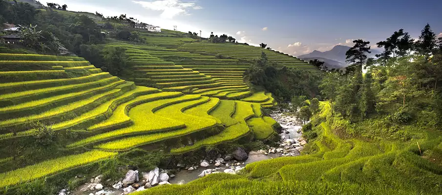 hoang-su-phi-rice-terrace-nature