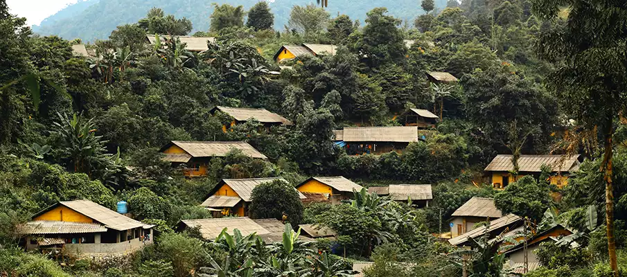 hoang-su-phi-rice-terrace4