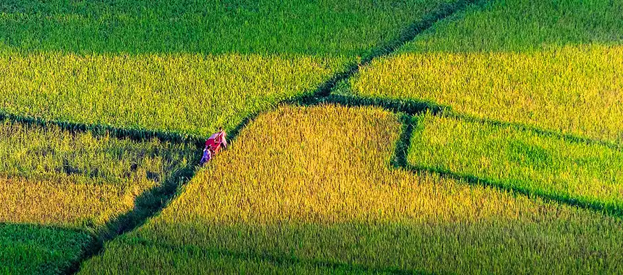 muong-thanh-valley-dien-bien-vietnam