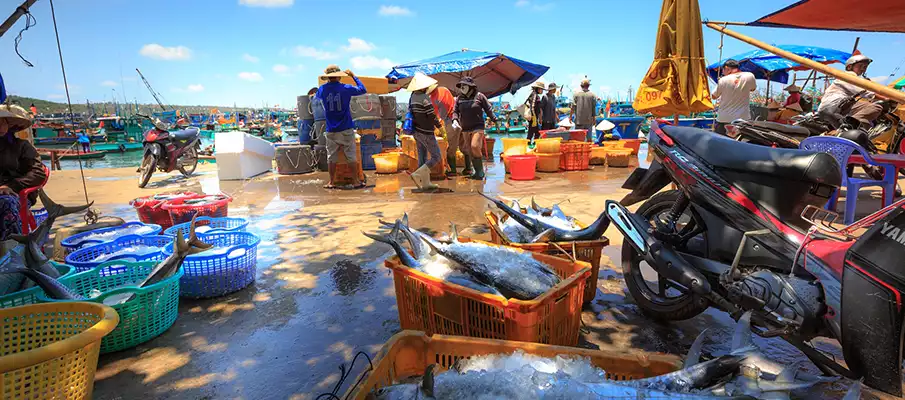 phu-quoc-island-fishermen-vietnam