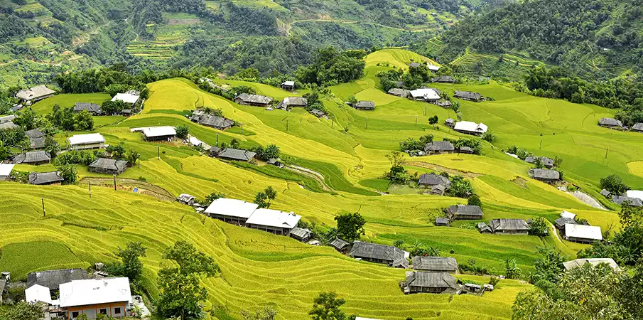 rice-terraces-hoang-su-phi-vietnam