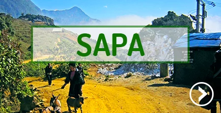 sapa-north-vietnam.webp