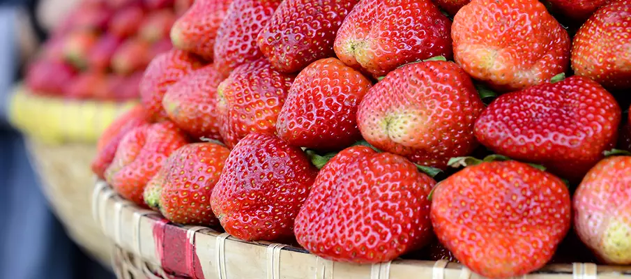 strawberry-farm-da-lat-vietnam