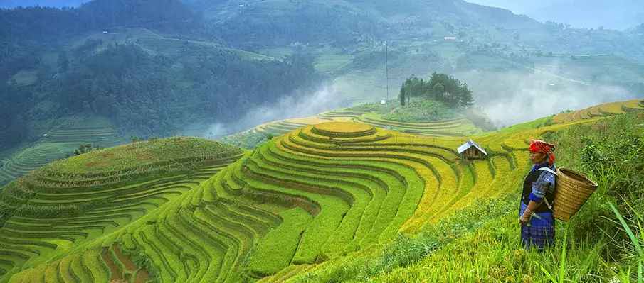 trekking-rice-terraces-vietnam