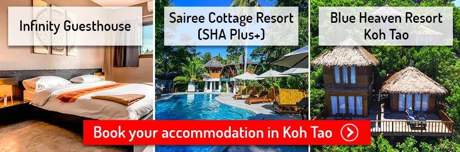 accommodation-hotels-koh-tao