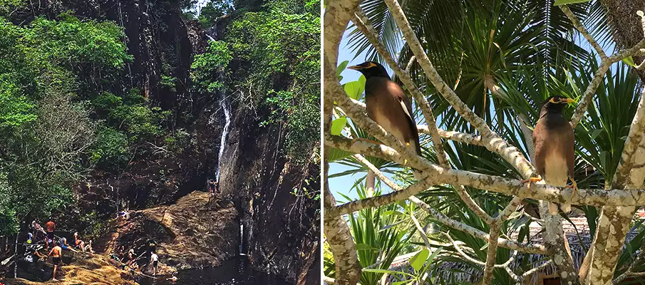 koh-chang-jungle-trekking-thailand