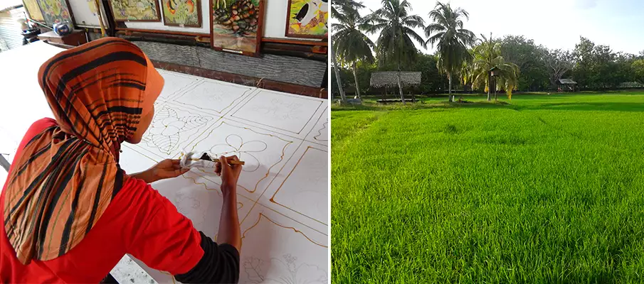 langkawi-paddy-rice-field-shop