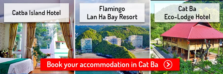 cat-ba-island-accommodation-hotels