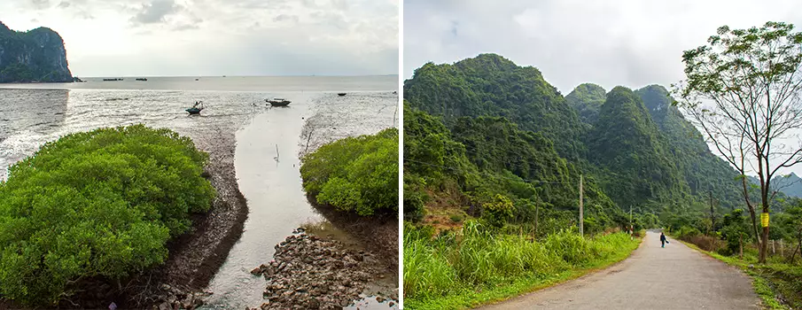 cat-ba-island-bay-park-road