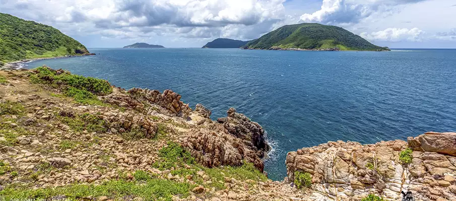 chim-chim-cape-con-dao-vietnam