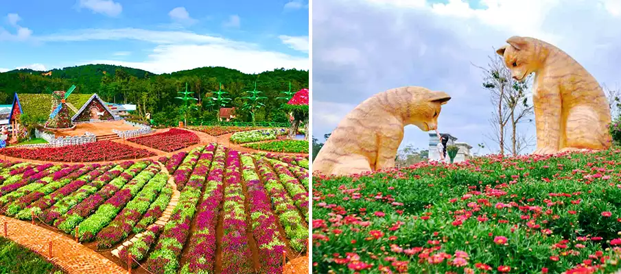 da-lat-fresh-garden-vietnam