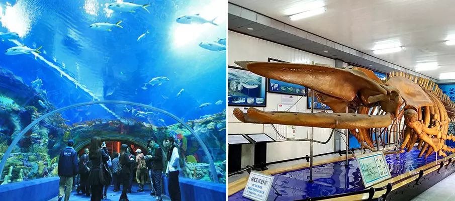 museum-of-oceanography-nha-trang