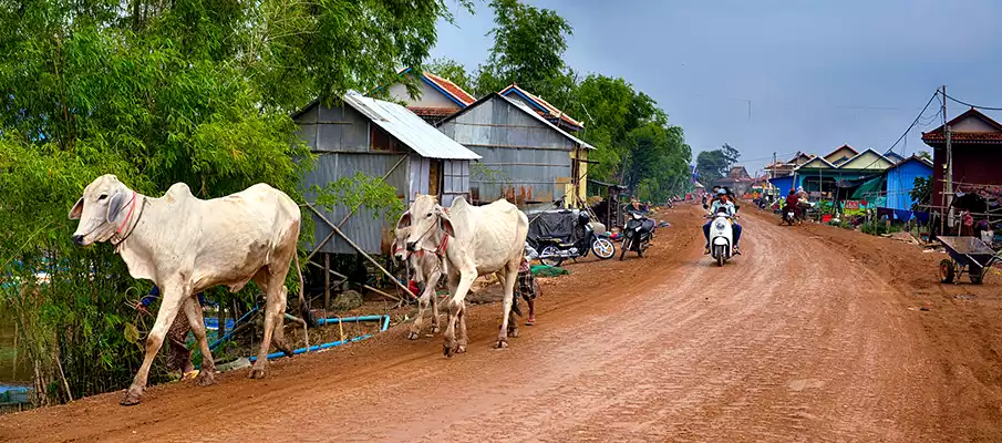 laos-with-children-travel