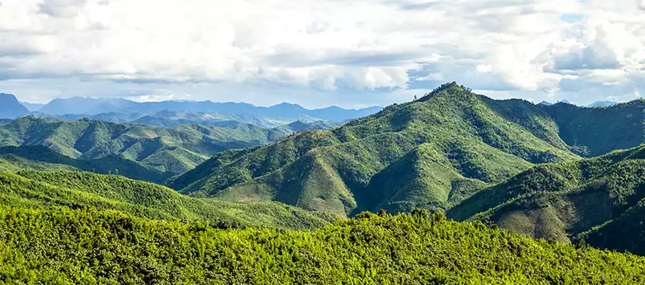 nam-et-phou-louey-area-laos