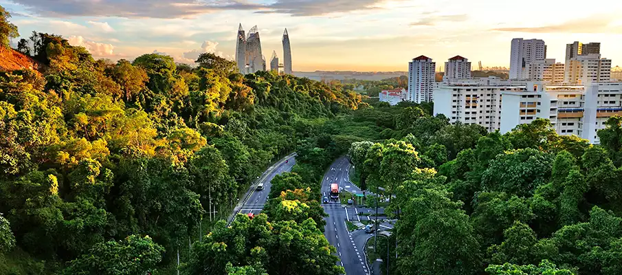 singapore-city-state-road-park