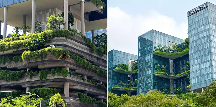 singapore-green-city-buildings