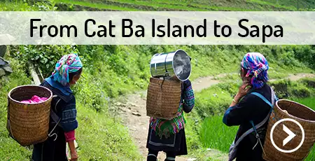 transport-cat-ba-island-to-sapa