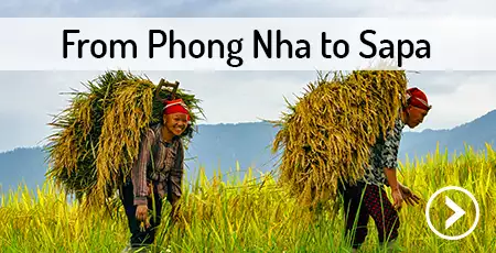 transport-phong-nha-to-sapa