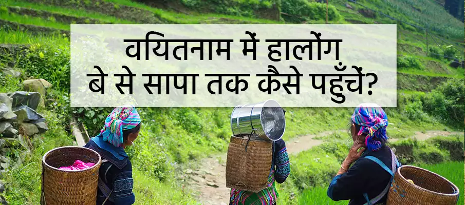 हालनग बे से सापा कैसे जाएं? परिवहन-हालोंग-बे-से-सापा