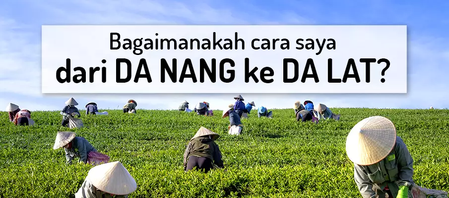 Bagaimana cara pergi dari Da Nang ke Da Lat? Bagaimana cara pergi dari Da Nang ke Da Lat