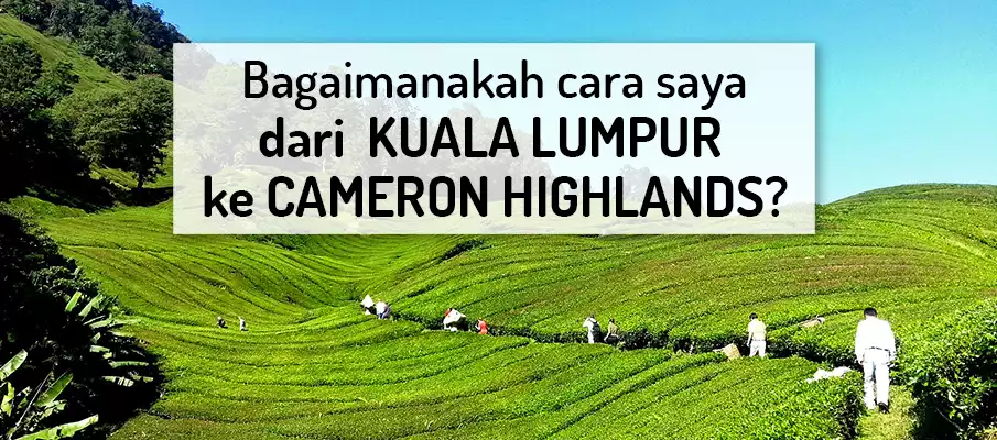 Perjalanan dari Kuala Lumpur ke Cameron Highlands pengangkutan-dari-kuala-lumpur-ke-cameron-highlands