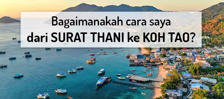Feri dari SURAT THANI ke KOH TAO? pengangkutan-feri-dari-surat-thani-ke-koh-tao
