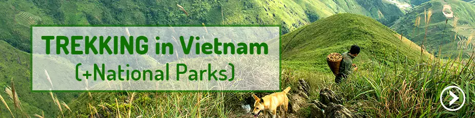 trekking-national-parks-vietnam