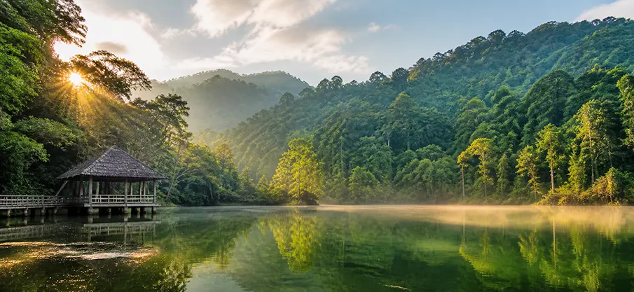 Misty jungle lake in Cuc Phuong National Park, Vietnam