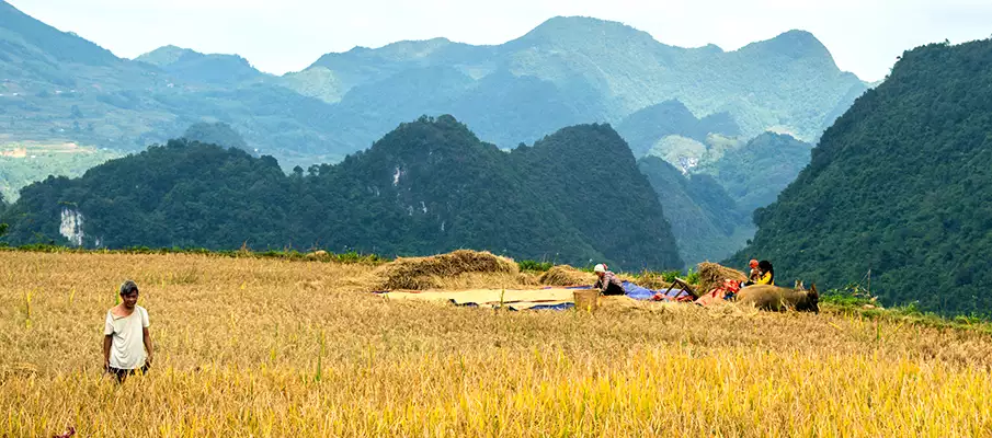 Motorbike travel in Cao Bang northern Vietnam