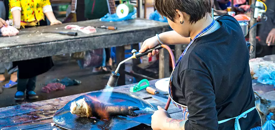 Local market and food in Tam Son northern Vietnam