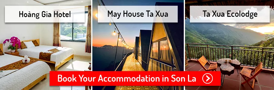 Book your stay in Son La / Ta Xua! accommodation-hotels-homestays-son-la-ta-xua-vietnam