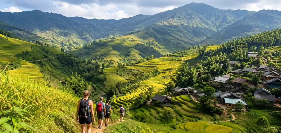 Tourists trekking through rice terraces near Bac Ha in northern Vietnam