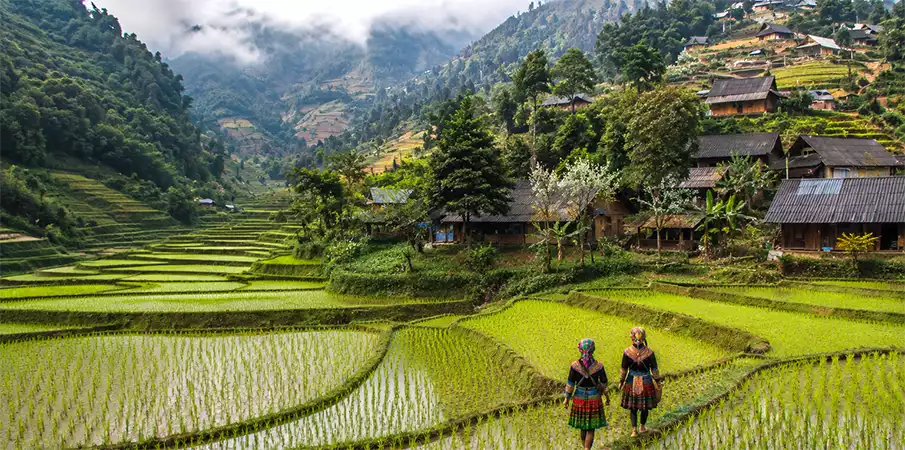 Rice terraces and traditional houses in Ban Pho Village near Bac Ha, Vietnam