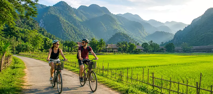 Tourists cycling through the rice fields of Mai Chau Valley, Northern Vietnam