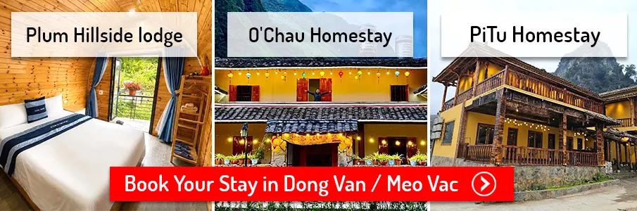Book Your Stay in Dong Van accommodation-homestay-dong-van-meo-vac-vietnam