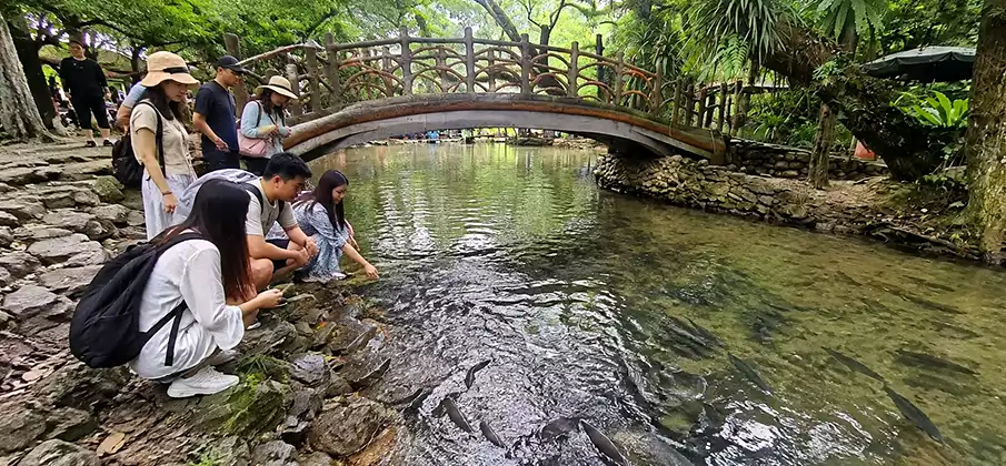 Cam Luong Fish Stream in Thanh Hoa, Vietnam – Sacred Fish Sanctuary Visitors watching the sacred fish in the crystal-clear waters of Cam Luong Fish Stream, Thanh Hoa Province, Vietnam
